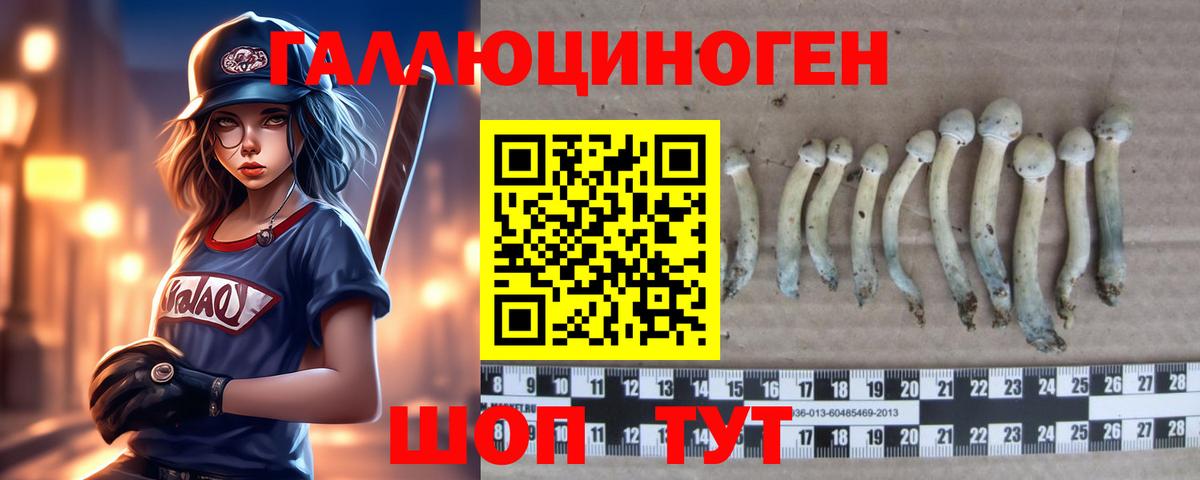 Галлюциногенные грибы прущие грибы Ишимбай