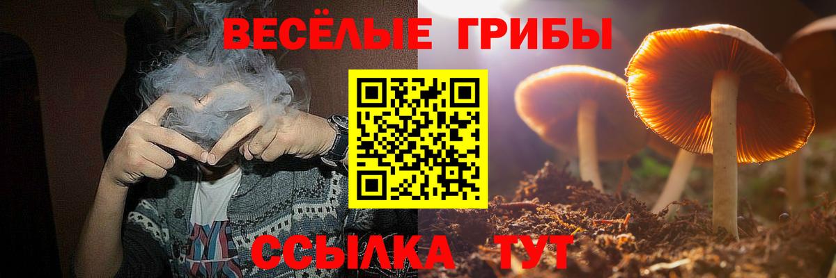Псилоцибиновые грибы Psilocybine cubensis  Вход с VPN  Ишимбай  Псилоцибиновые грибы Psilocybine cubensis 